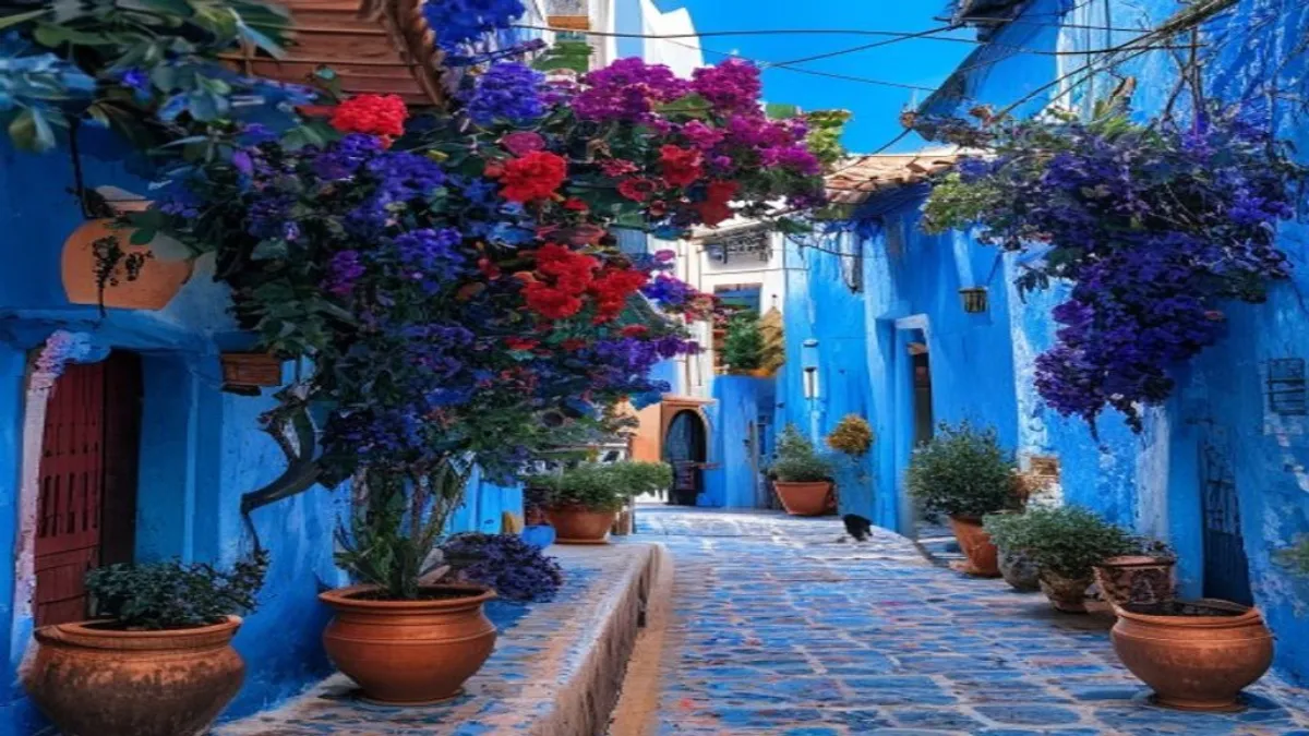 Callejón azul de Chefchaouen con escaleras pintadas y macetas de colores al amanecer