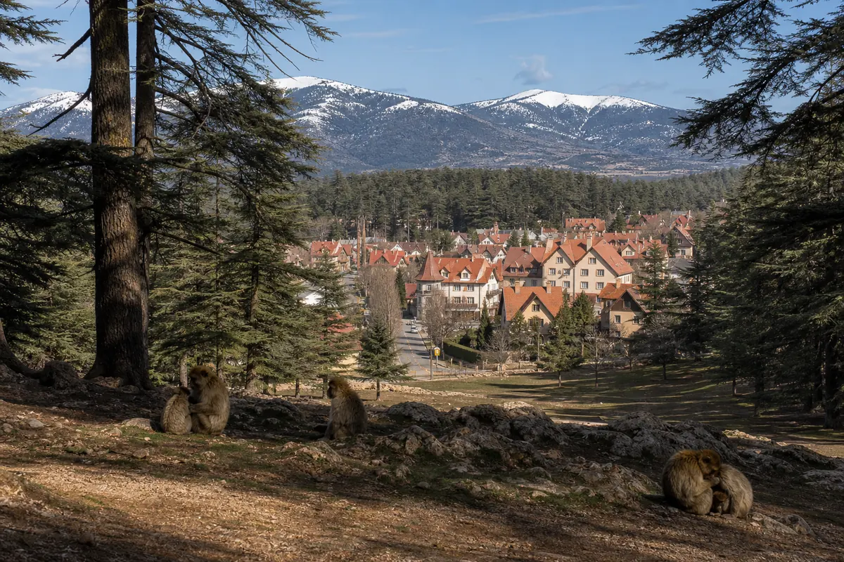 Ifrane Morocco alpine chalets with Cedar forest and snow-capped Middle Atlas mountains